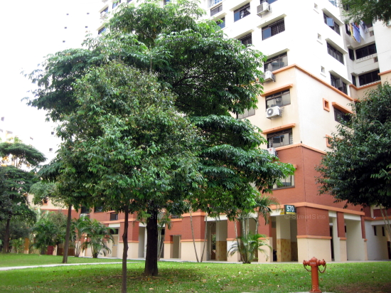 Hougang Street 51 thumbnail photo